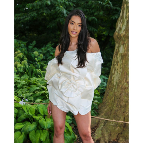 Fashion Week Elegance Rose Dress Fashion Week Elegance Rose Dress